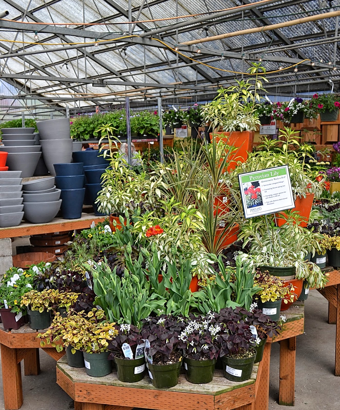 The Outlaw Gardener Portland Nursery Deux Stark Street