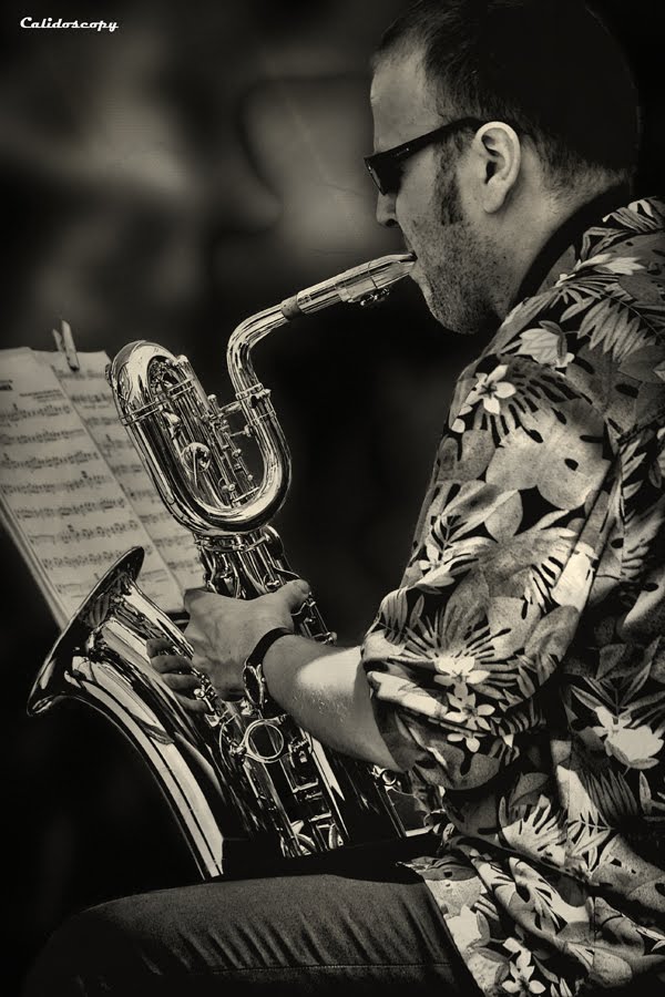 calidoscopy slide show Baritone sax player