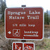 Rocky Mountain National Park, CO: Sprague Lake Hike