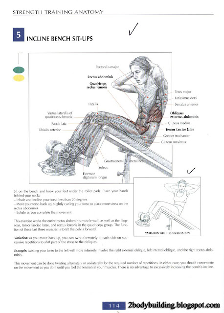 أهم تمارين لشد وتقوية عضلات البطن  Abdominal+114