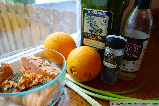 A recipe for salmon and fresh oranges in a poppy seed vinaigrette, served over hot pasta. The bright and fresh flavors of this dish lighten up the dark winter days.