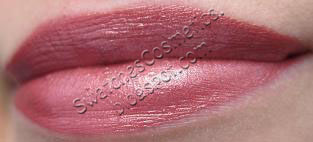  Swatches Cosmetics Свотчи Косметики Губная помада для губ Lipstick Helena Rubinstein №006 Magnetize