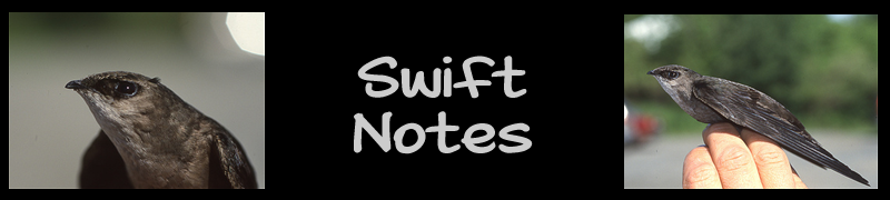 Swift Notes