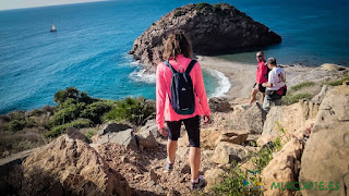 Visita a la Isla Torrosa