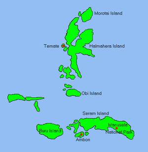 Insel Der Molukken