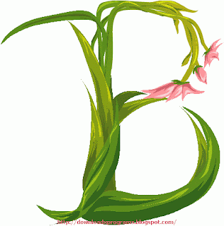 صور حرف B صور حرف B