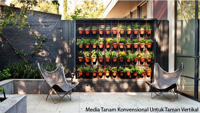 Media Tanam Konvensional Untuk Taman Vertikal