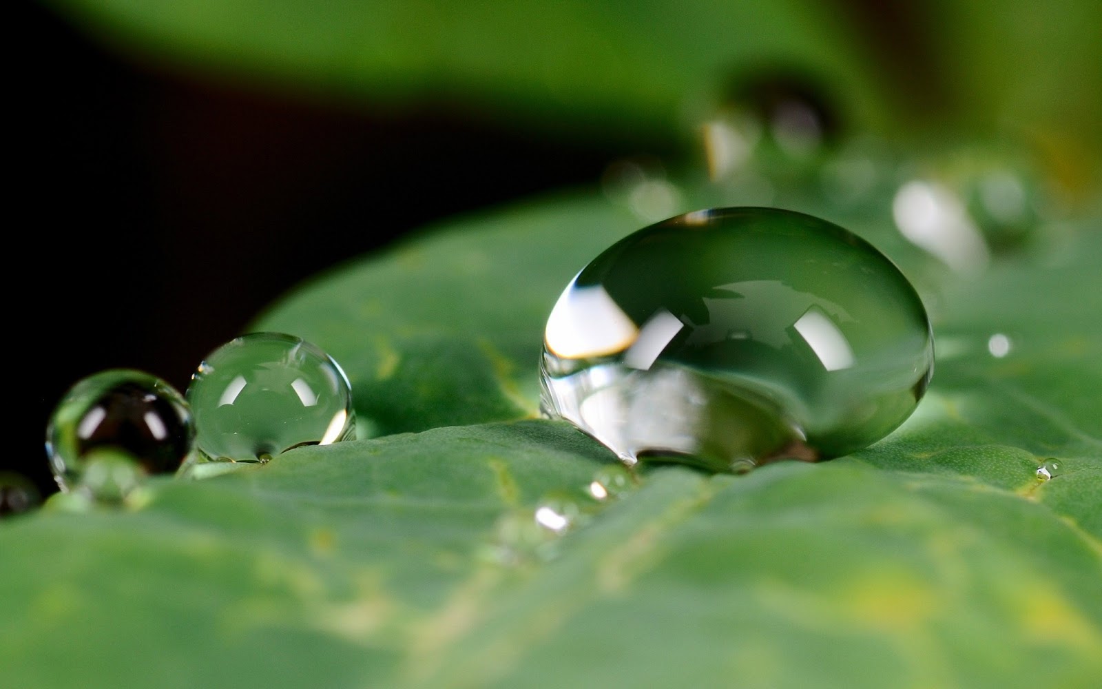 Amazing hd wallpaper, amazing wallpapers hd | osabelhudosec