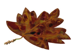 Brown Waste Product Tannins Brown Waste Product Tannins
