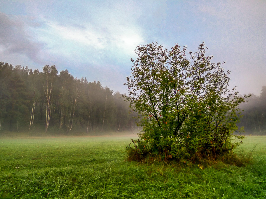 После дождичка, в четверг