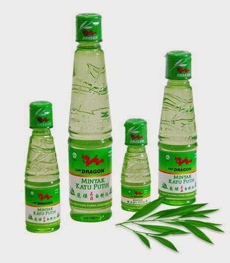 7 manfaat minyak kayu putih untuk kesehatan 7 manfaat minyak kayu putih untuk kesehatan