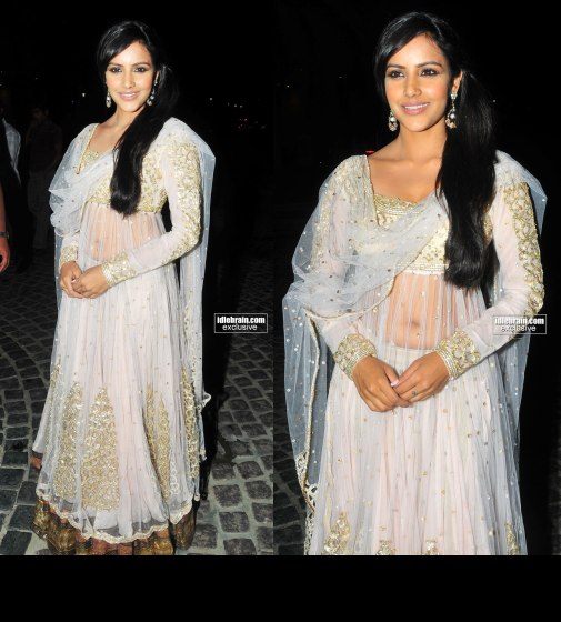Celebrities At 58th Idea Filmfare Awards South 2011