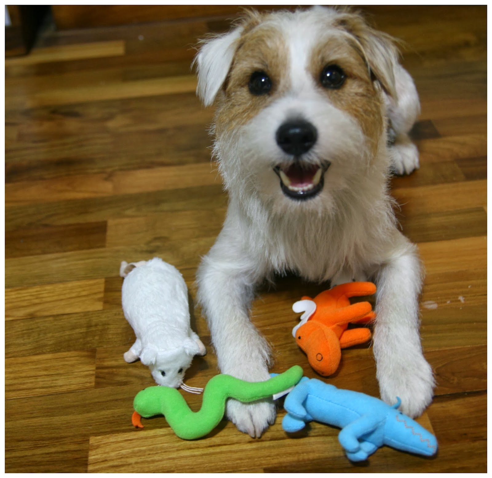 Ikea toys! Sam, Pecan and Pippin Dog blog Singapore