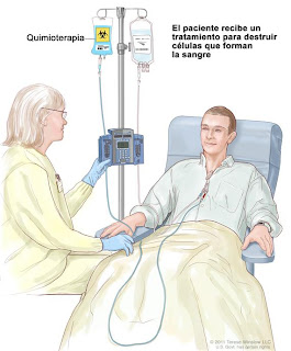 COSAS CURIOSAS - CURIOSIDADES DEL MUNDO - UN BLOG PARA CURIOSOS: ¿Cómo