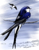 House Martin from Bird of the Day by ArtMagenta.com