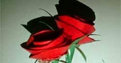 Nove Hasanah Cara Membuat Bunga Dari Kertas Mawar Merah