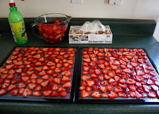 How To Dehydrate Strawberries recipe by Barefeet In The Kitchen How To Dehydrate Strawberries recipe by Barefeet In The Kitchen