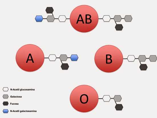 ab factor ¿dudas con las tareas ¡recibe ayuda de otros estudiantes el 80% de las preguntas recibe respuesta en menos de 10 minutos no sólo respondemos también explicamos. ab factor ¿dudas con las tareas ¡recibe ayuda de otros estudiantes el 80% de las preguntas recibe respuesta en menos de 10 minutos no sólo respondemos también explicamos.