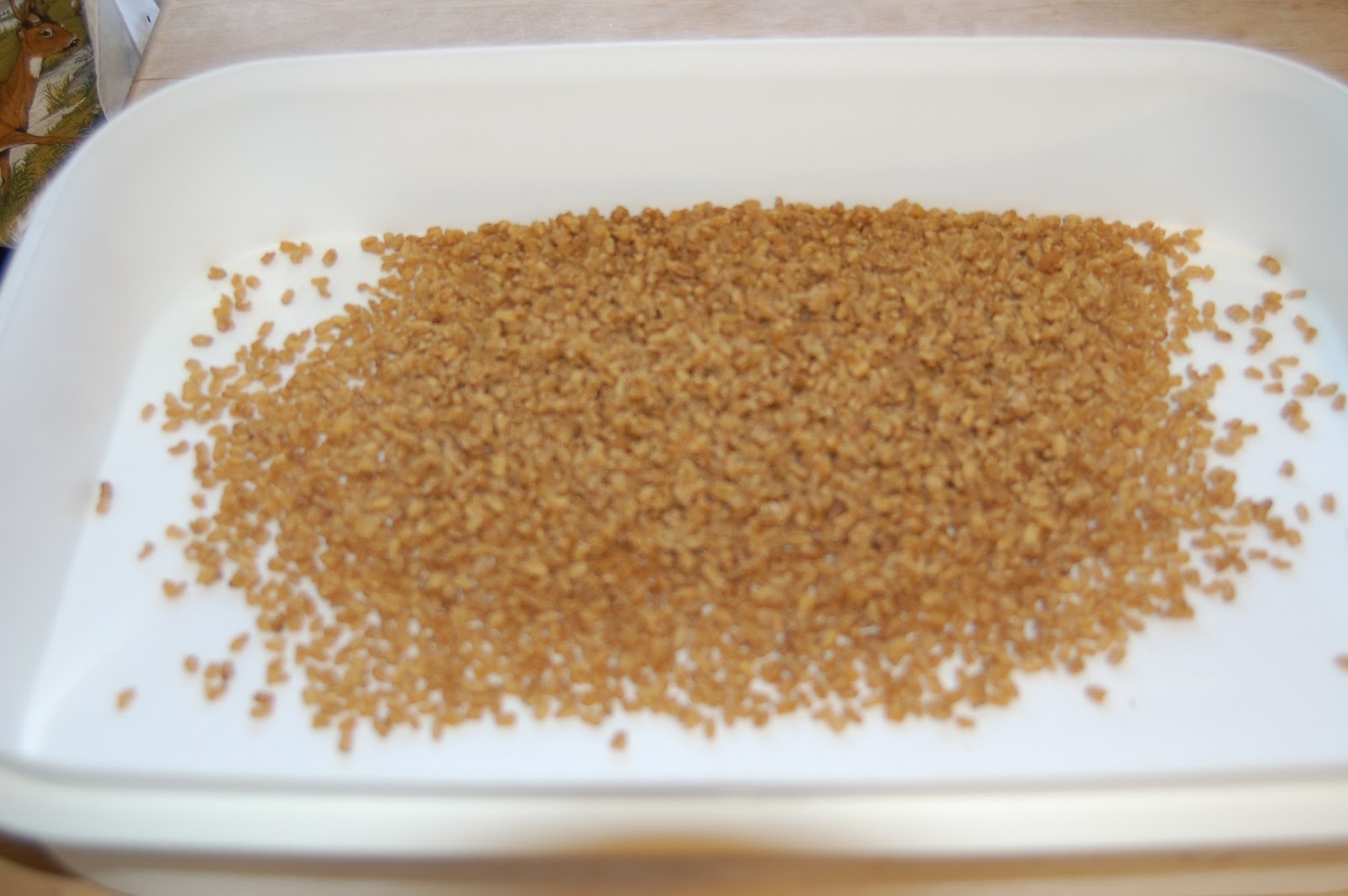 Dehydrating Way Beyond Jerky Dehydrating Cooked Whole Grains