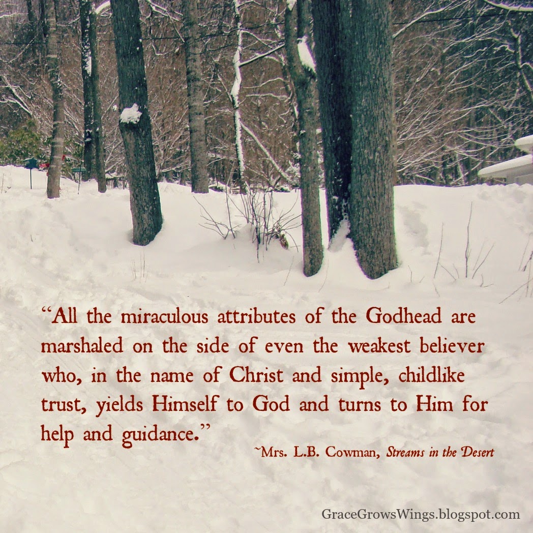 Grace Grows Wings Steps to Peace in Grief