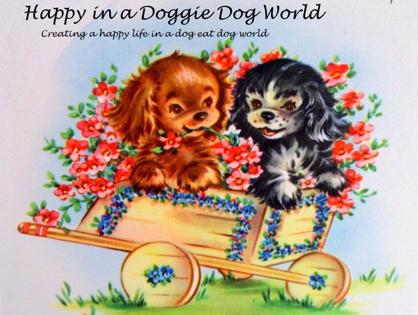 Happy in a Doggie Dog World
