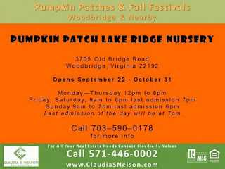 Pumpkin Patches near Woodbridge Virginia 2015, Lake Ridge Nursery Pumpkin Patch