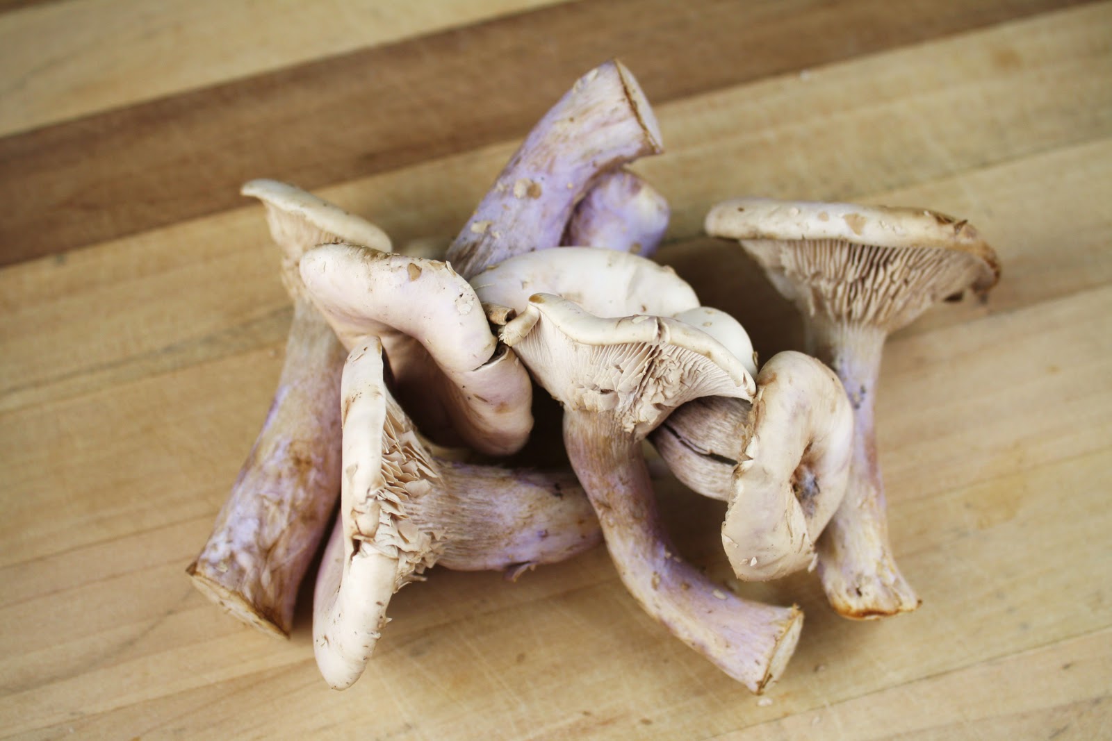 Living on Pure Land Sea scallops with chanterelles and Sherry