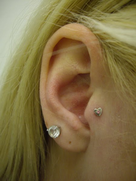 anti tragus piercings. Anti-Tragus and of course