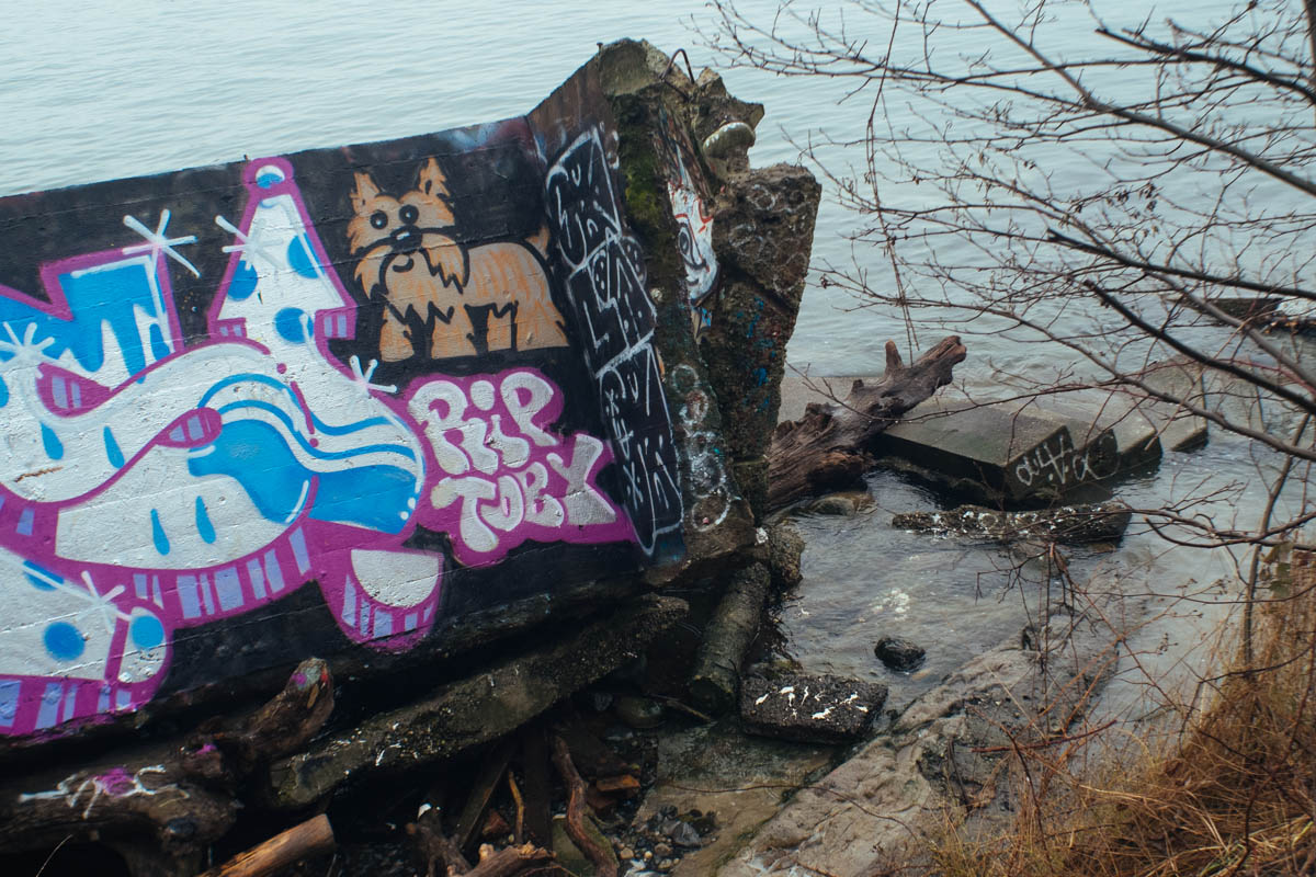 fellow adventurer: Apocalypse Park // Undisclosed Location