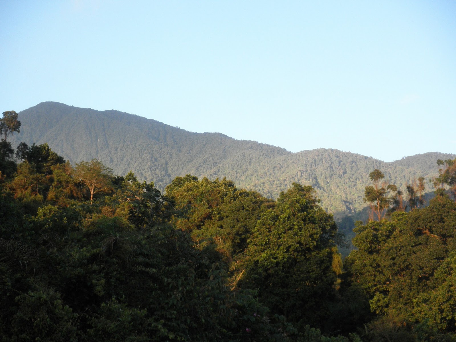 Cerro La Judía