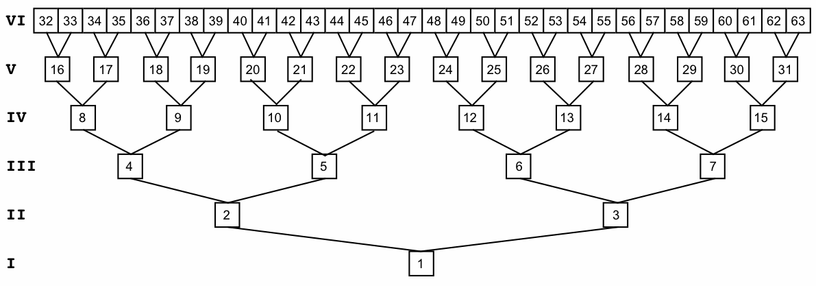 this first genealogy shows a standard family tree for a single individual looking backward in time from the bottom so this person is 1 the parents are