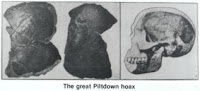 Evolution is a Lie - Intelligent Design is the Truth! VonFangeTUDPiltdownSkullHoax