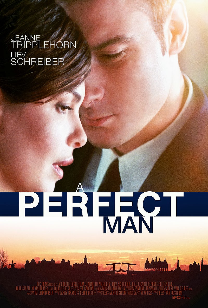 Baixar Filme Um Homem Perfeito - Dublado Baixar Filme Um Homem Perfeito Dublado Download