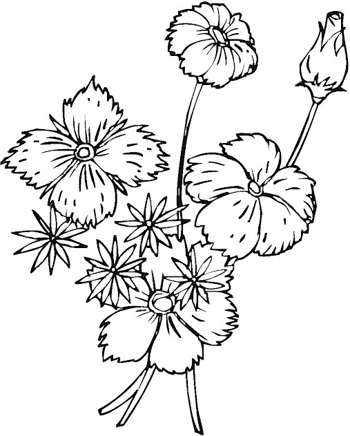 Get Planse De Colorat Cu Flori Pics