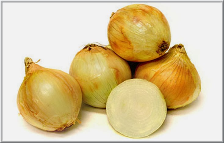 150 SEEDS SAME DAY SHIPPING Grano 1015Y Onion Seeds