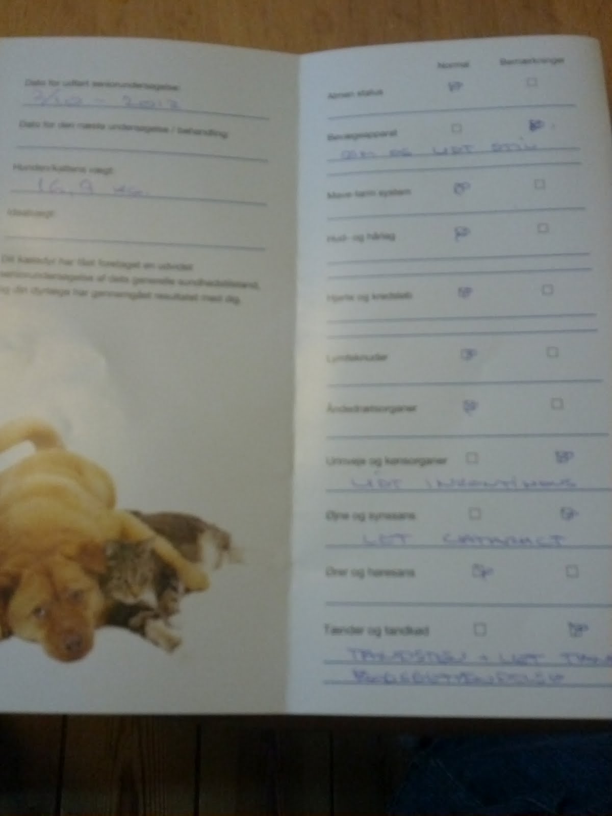 Frida, Wilma og Asta�s blog