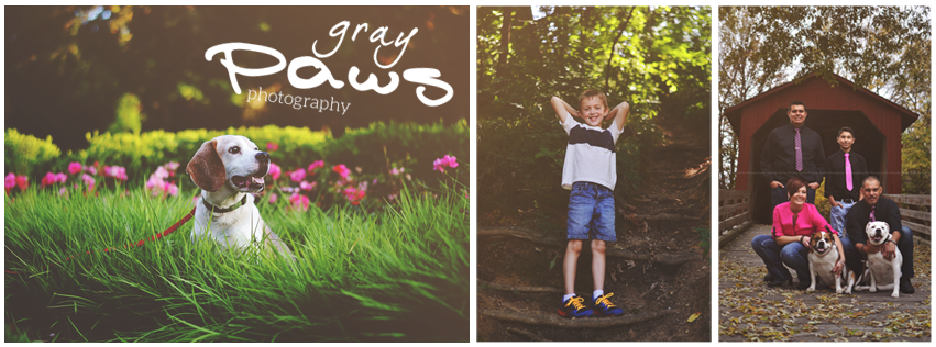 Gray Paws Photography