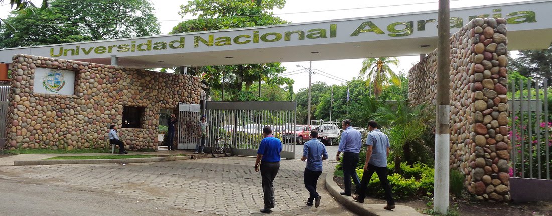 CENIDA