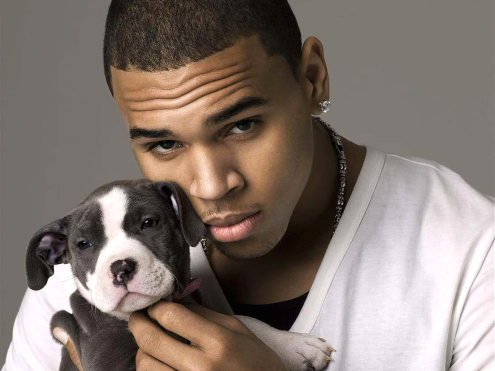 Chris Brown Wallpapers Chris Brown Wallpapers