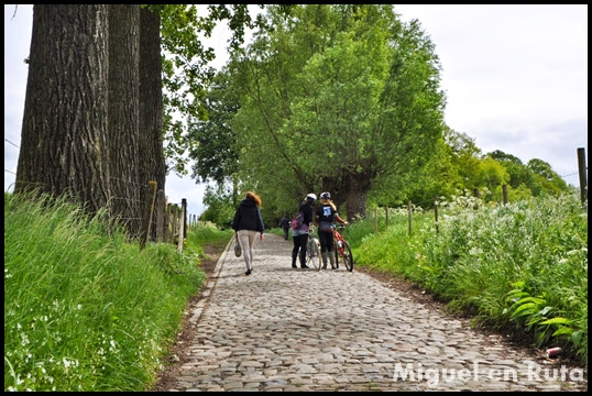 Ardenas-Flamencas-Koppenberg