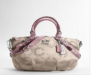 coach wallets latest