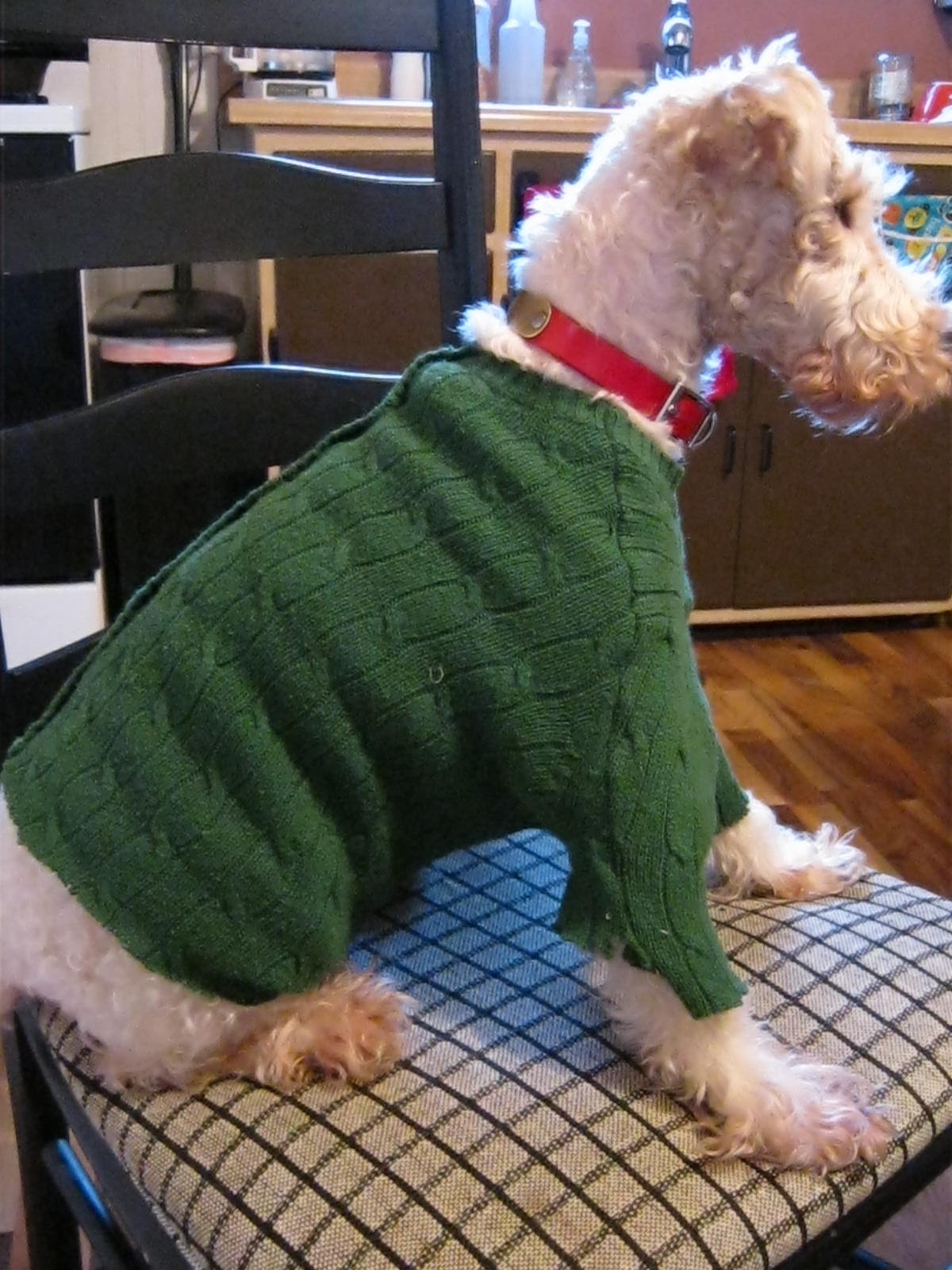 Two Blue Houses Upcycled Homemade Dog Sweater