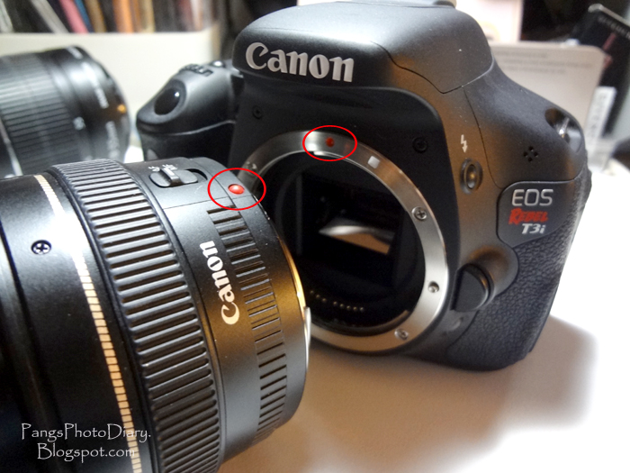 Pang's Photo Diary Canon Lens & Camera Compatibility + How to Mount