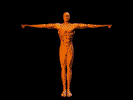 animation by peter jones
