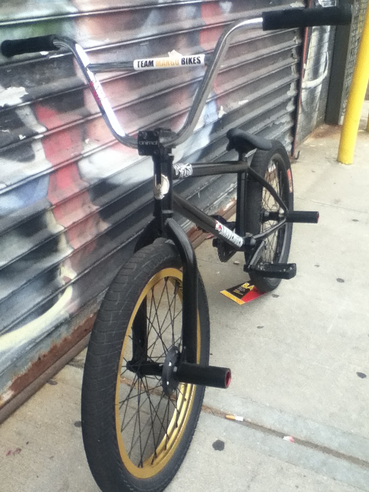 TEAM MANGO BIKES Team Mango Bikes Jim "MANGO" Carlson Bike Check