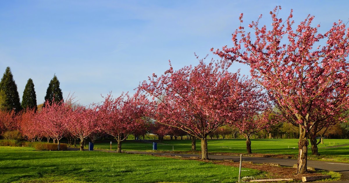 Daily Bread the flowers fade and wither....