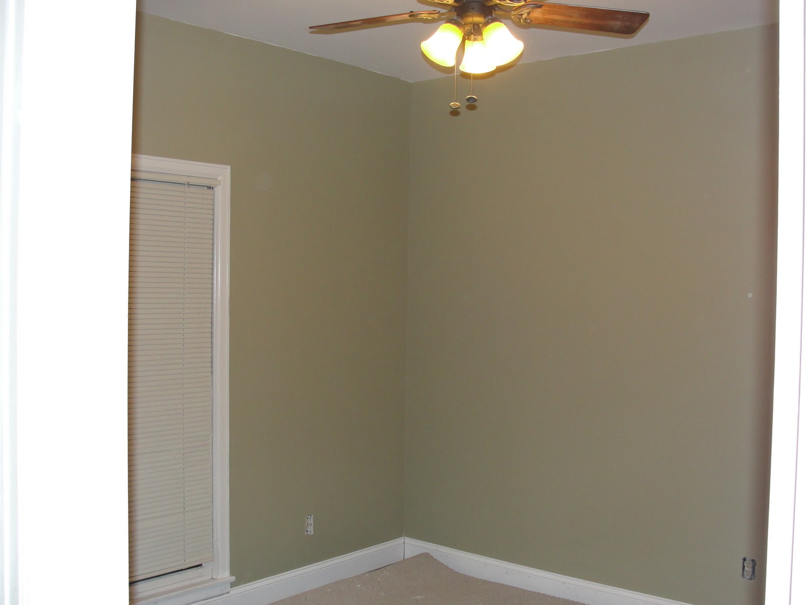 The Prokops Painting Extravaganza