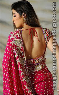 saree Blouse Back Designs - Choli Back Design Pictures - blouse design ideas 2012
