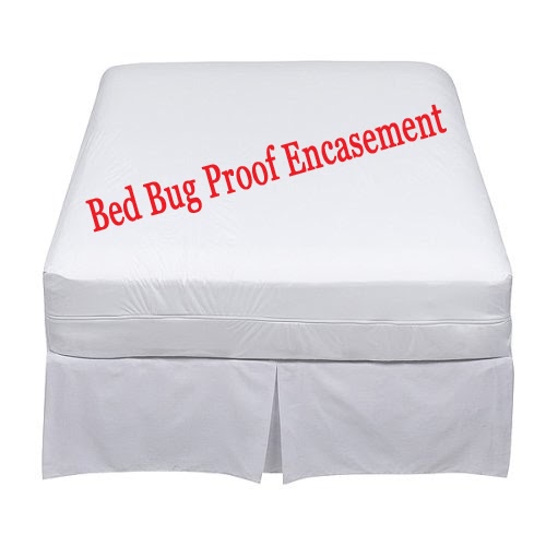 Bed Bugs Toronto Toronto Bed Bugs Help Bed bug mattress covers