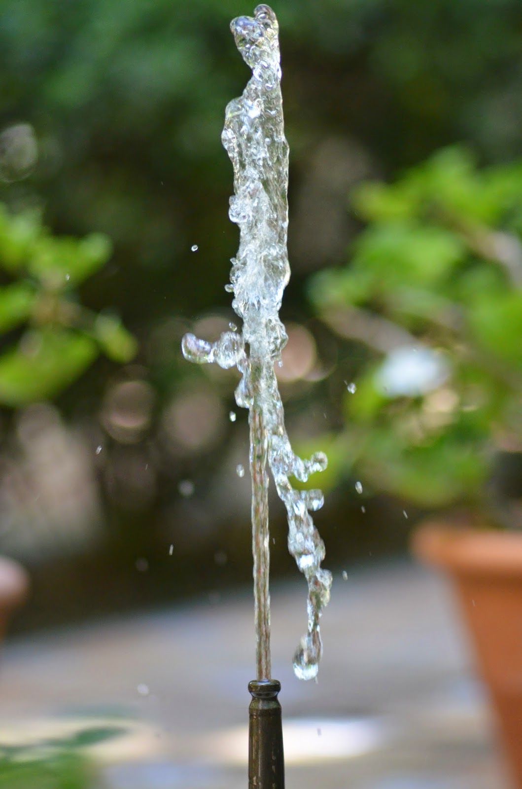 Jardines del Museo Sorolla. Madrid